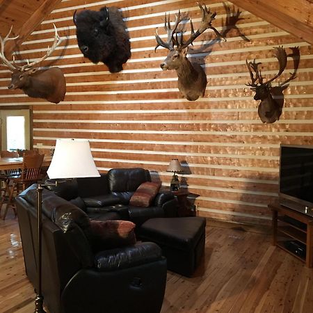 Log Home Guest House Ocklawaha المظهر الخارجي الصورة