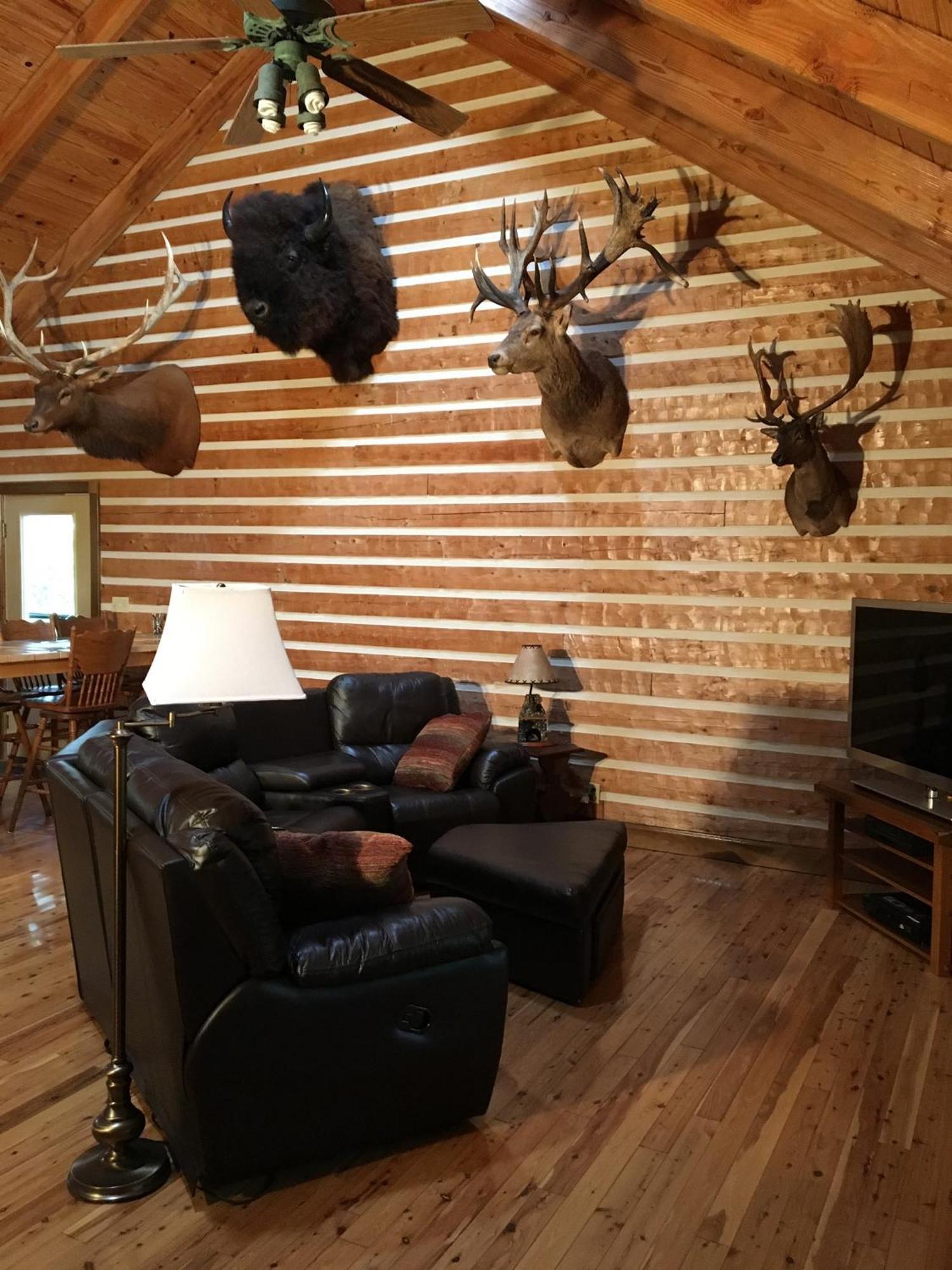 Log Home Guest House Ocklawaha المظهر الخارجي الصورة